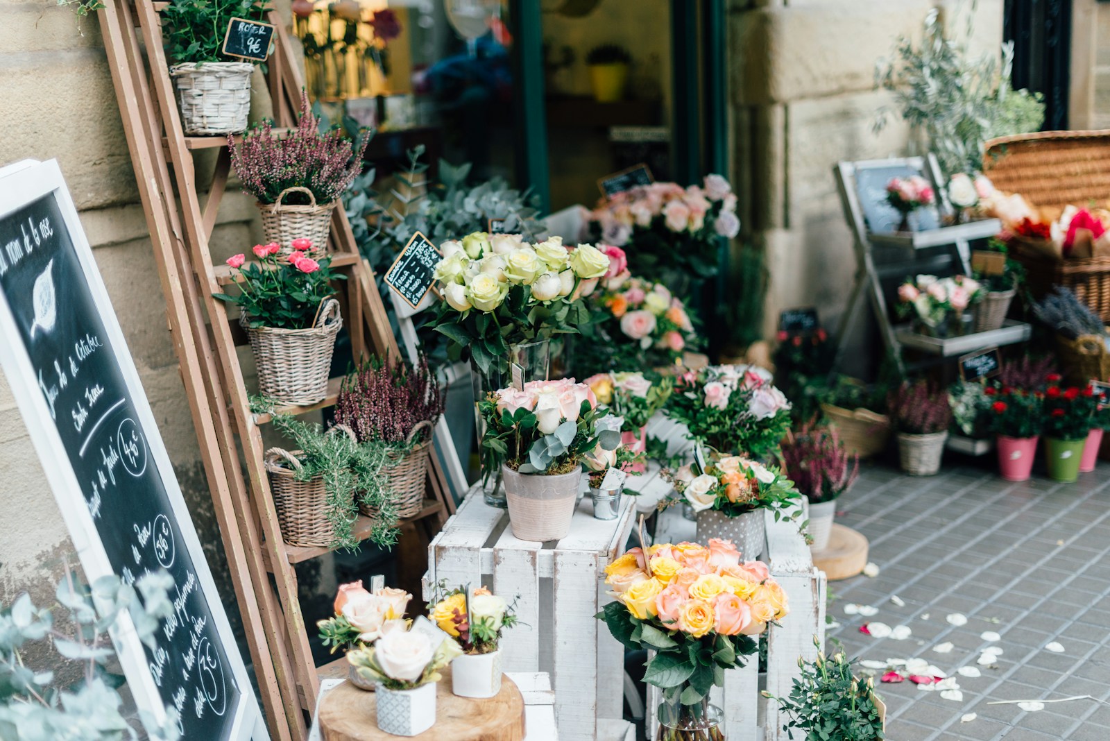 The Bouqs: Where Fresh Blooms Meet Farm-to-Table Floral Artistry