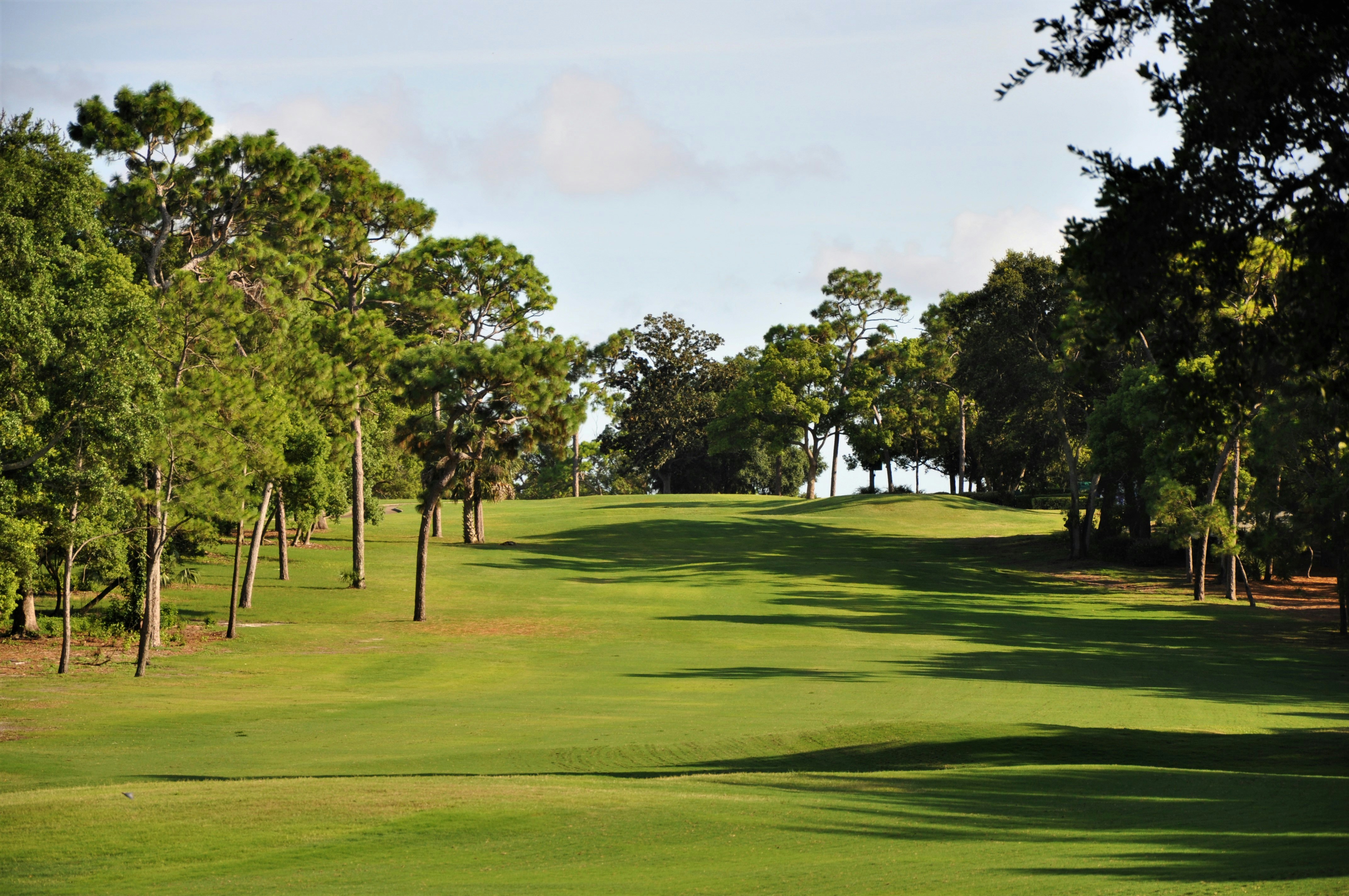 Golf Training Aids