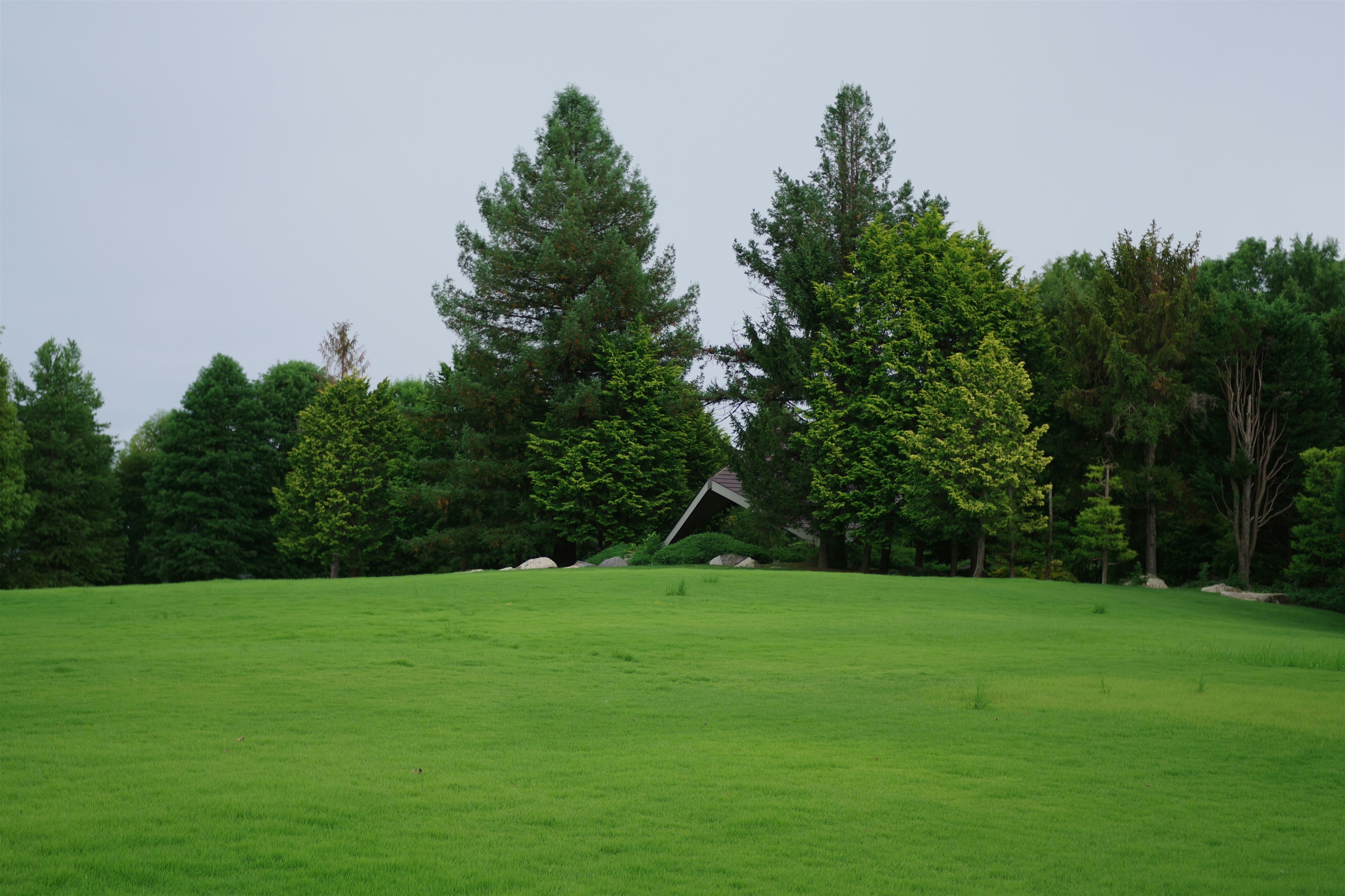 Golf Course with Players Using Rangefinders